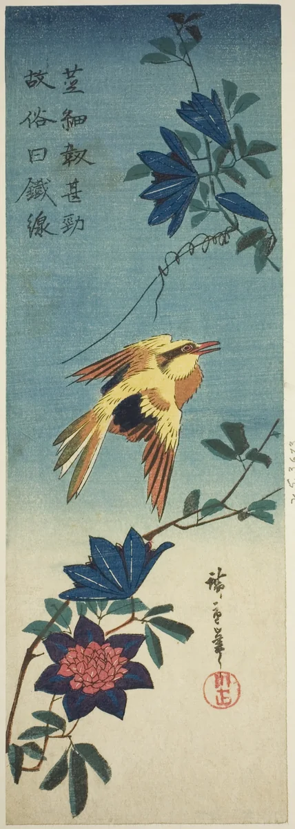 (Facsimile?) Black-naped oriole and clematis by Utagawa Hiroshige (歌川広重), print, 1840-1849