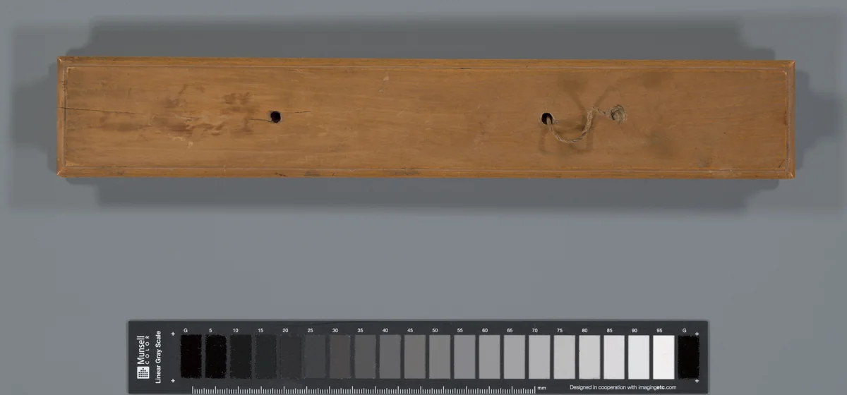 Palmblad (palmyra palm) by anonymous, manuscript, 1700-1800