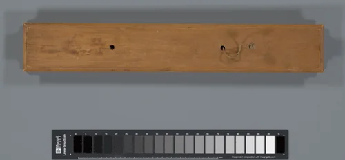 Palmblad (palmyra palm) by anonymous, manuscript, 1700-1800