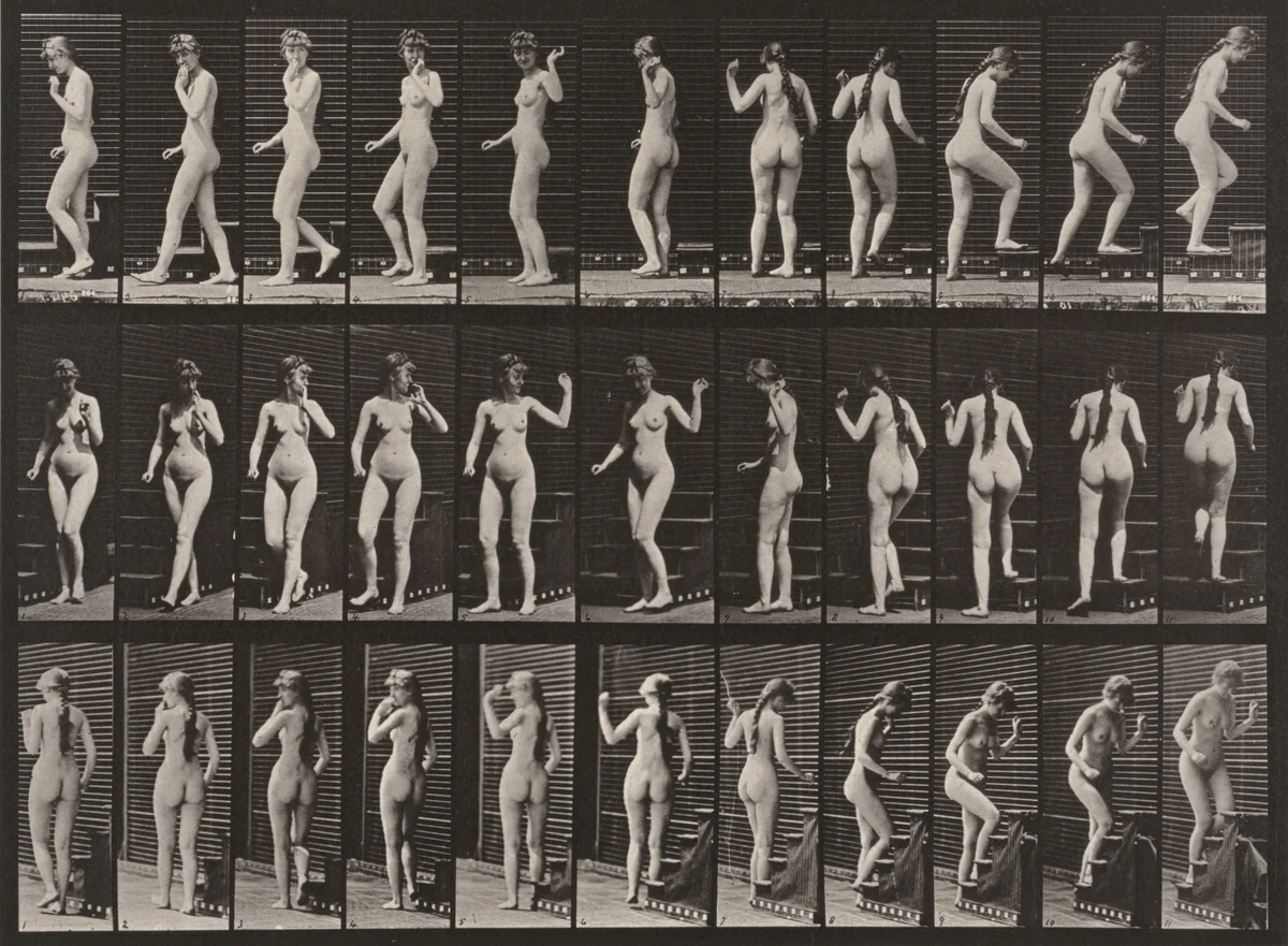 Plate Number 101. Turning, ascending stairs and waving hand by Eadweard Muybridge, photograph, 1887