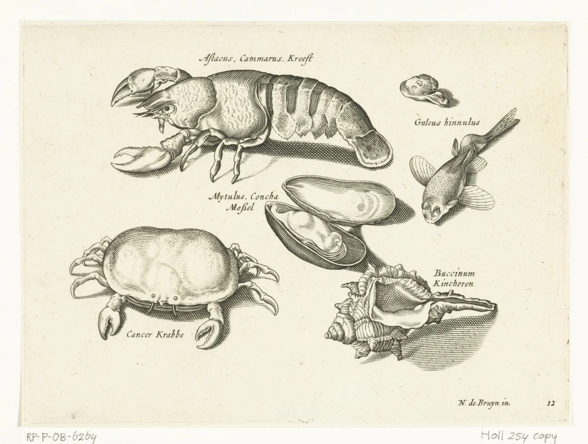 Kreeft, krab en schelpen by anonymous, print, 1581-1652