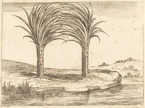 Two Palm Trees by Jacques Callot, print, 1592-1635