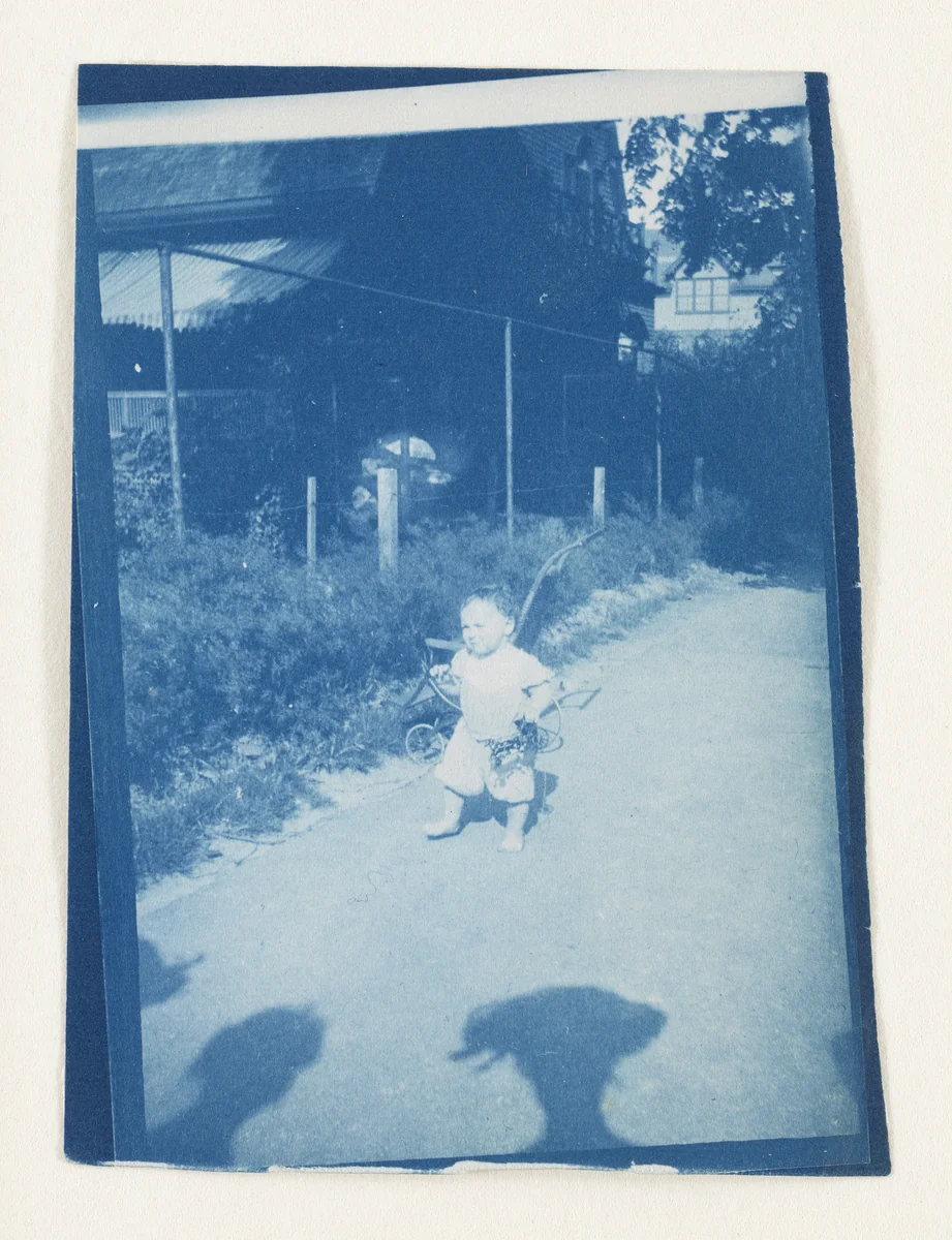 Untitled by Unidentified Photographer, photograph, 1890