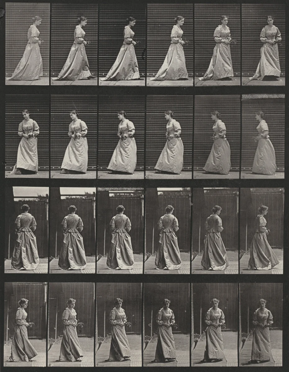 Plate Number 48. Walking and turning around with a bouquet in both hands by Eadweard Muybridge, photograph, 1887