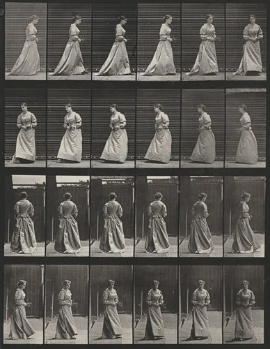 Plate Number 48. Walking and turning around with a bouquet in both hands by Eadweard Muybridge, photograph, 1887