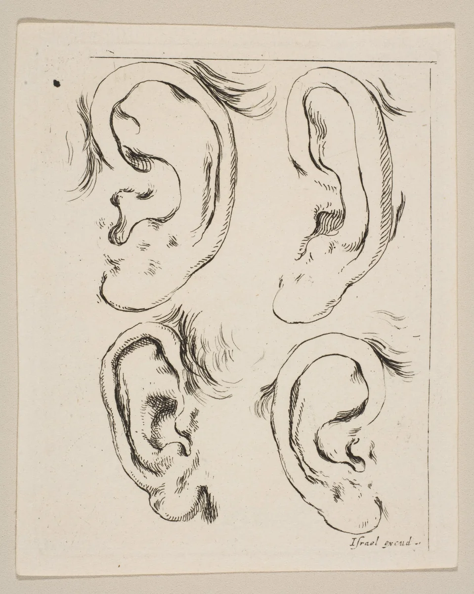 Plate 5: four ears, from 'The Book for Learning to Draw' (Livre pour apprendre à dessiner) by Stefano della Bella, print, 1644-1654