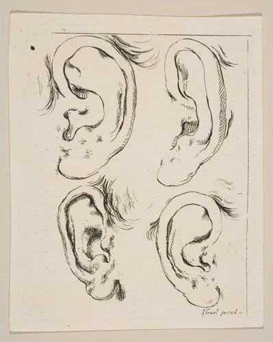 Plate 5: four ears, from 'The Book for Learning to Draw' (Livre pour apprendre à dessiner) by Stefano della Bella, print, 1644-1654