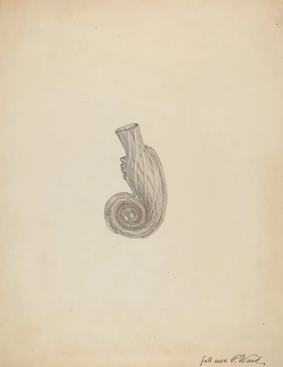 Scent Bottle by Paul Ward, index of american design, 1938