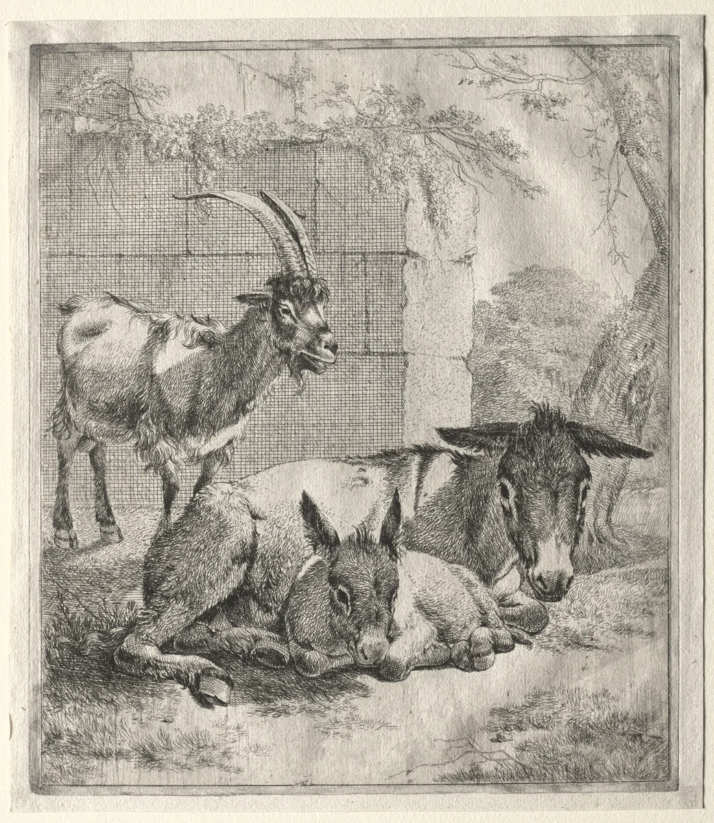 Goat and Donkeys by Johann Heinrich Roos, print