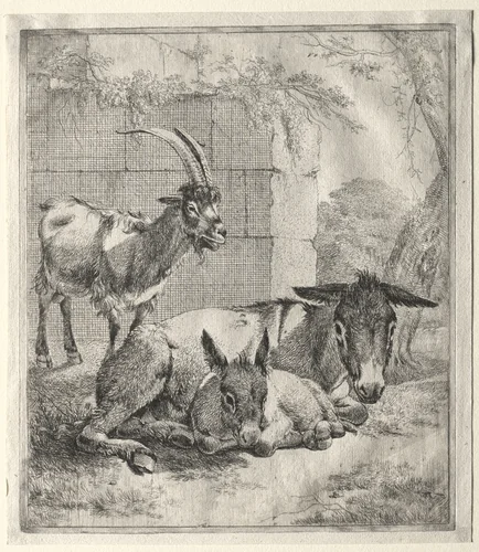 Goat and Donkeys by Johann Heinrich Roos, print
