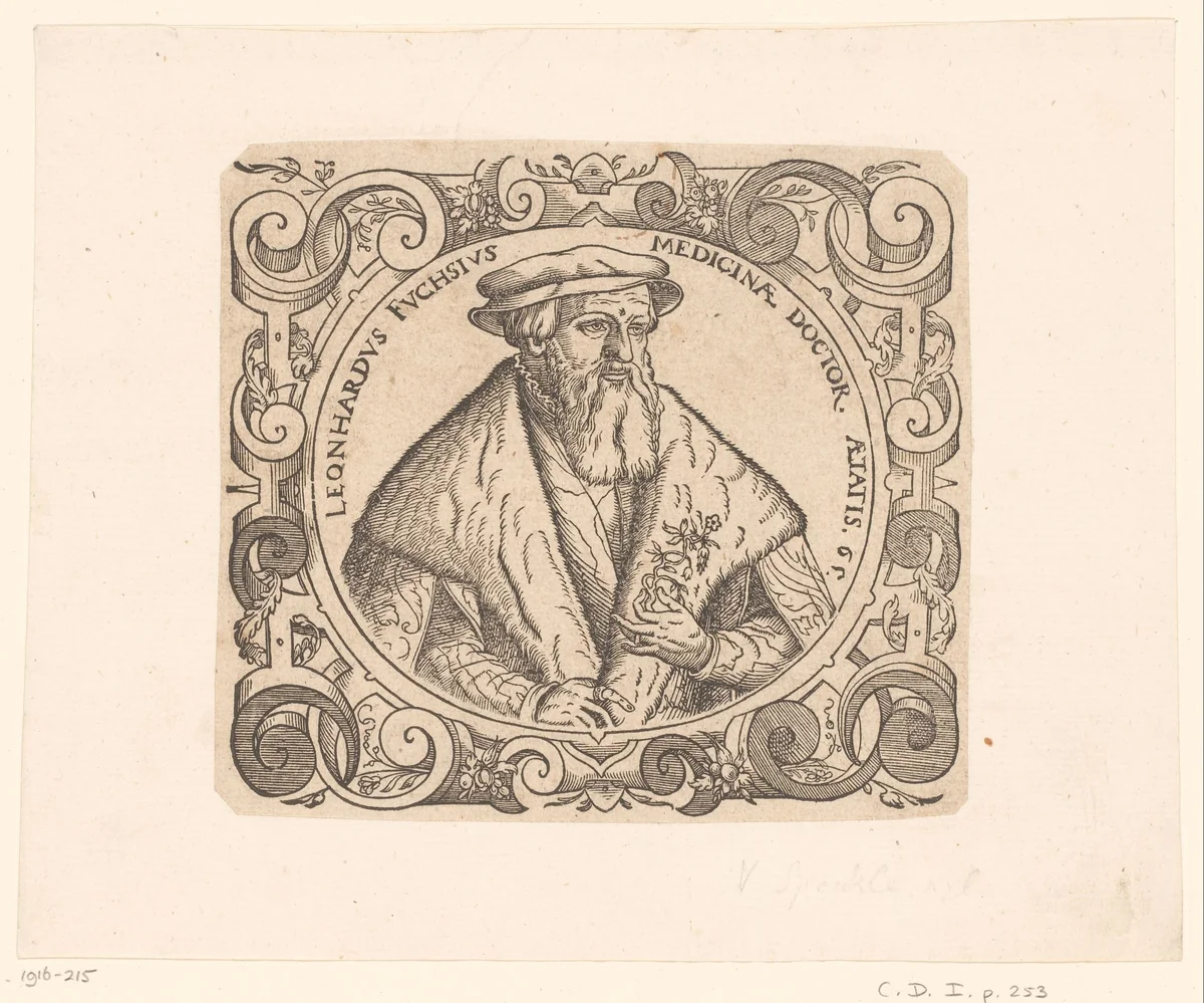 Portret van Leonhard Fuchs by Veit Rudolf Specklin, print, 1542