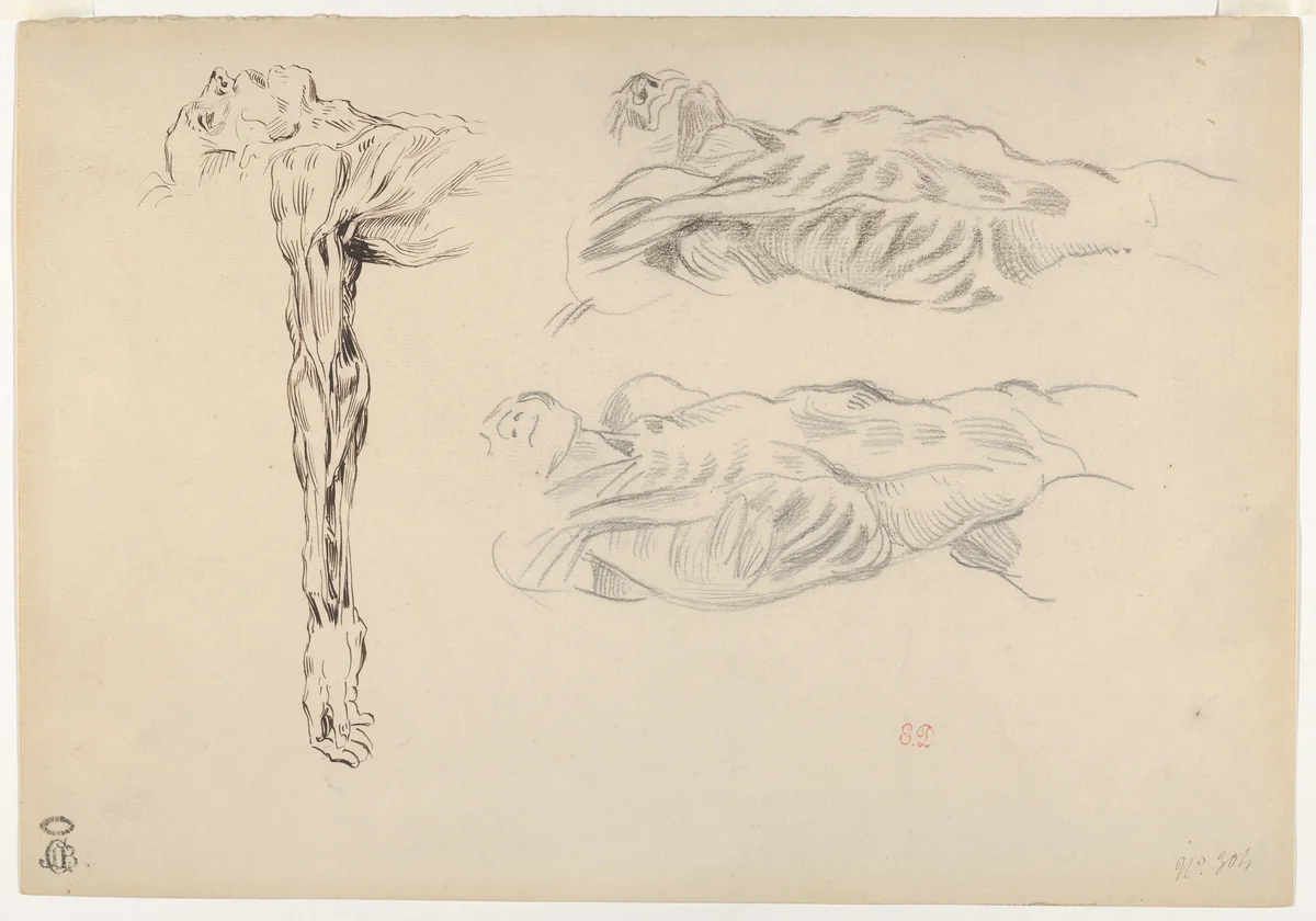 Écorché: Three Studies of a Male Cadaver by Eugène Delacroix, drawing, 1820-1863