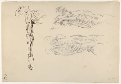 Écorché: Three Studies of a Male Cadaver by Eugène Delacroix, drawing, 1820-1863