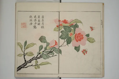 The Mustard Seed Garden Painting Manua} 芥子園畫傳 by Wang Gai (王槩), book, 1743-1753