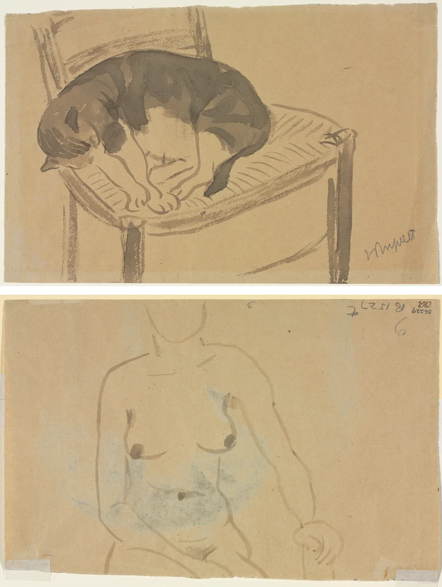 Sleeping Cat (recto) Torso of a Nude Woman (verso) by Jane Poupelet, drawing, 1878-1932