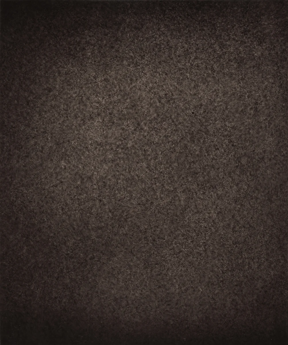 Région Centrale (Réseau Moyen), June, 10 1887, 7h 35m 55s by Jules Janssen, photograph, 1877