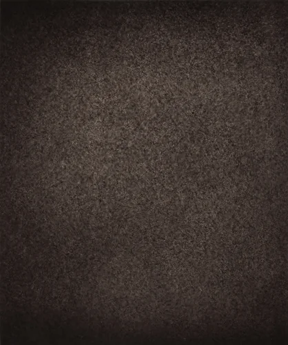 Région Centrale (Réseau Moyen), June, 10 1887, 7h 35m 55s by Jules Janssen, photograph, 1877