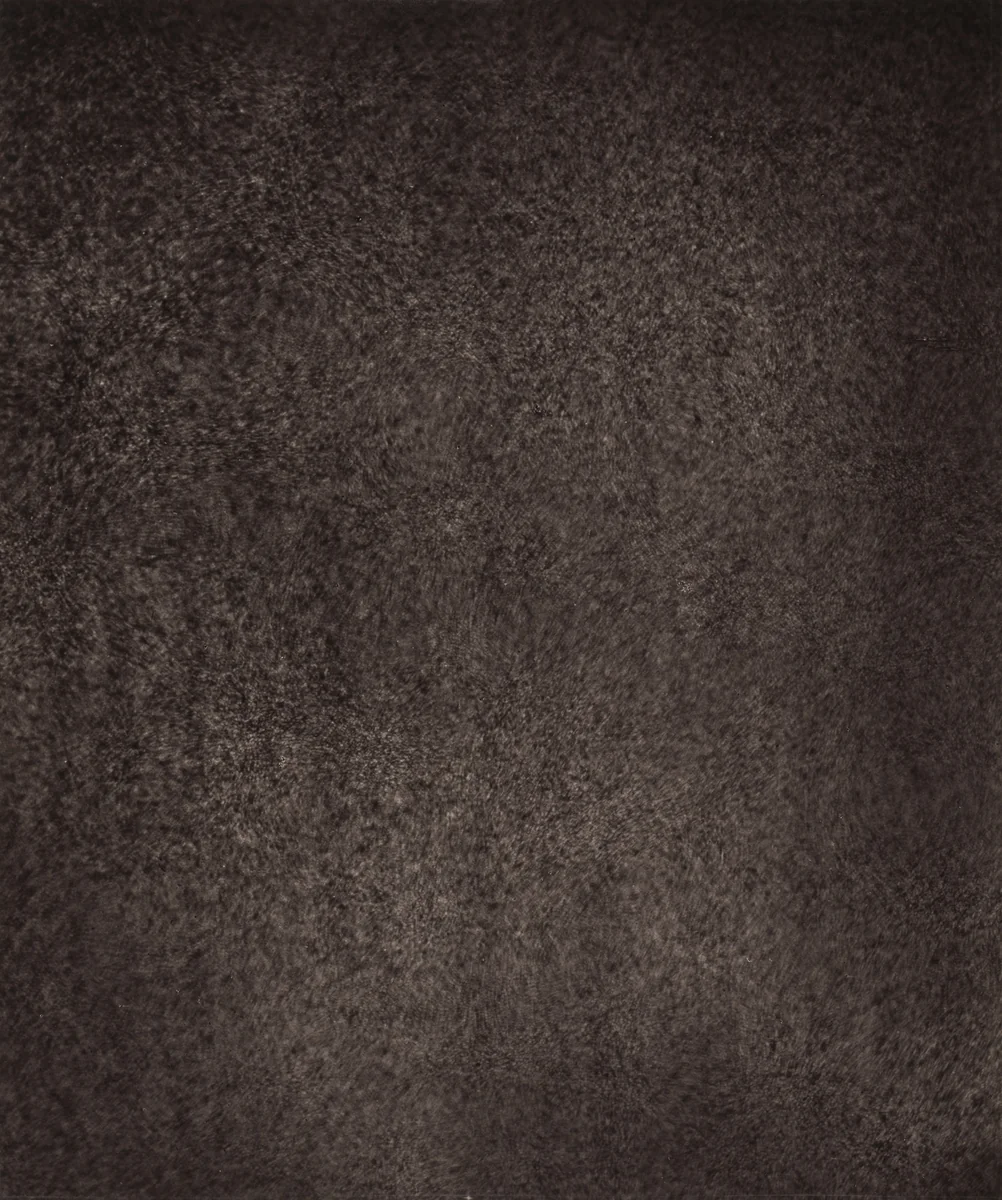 Région Centrale (Grand Réseau), August 5, 1877, 7h 11m 30s by Jules Janssen, photograph, 1877