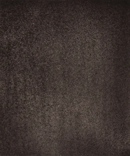 Région Centrale (Grand Réseau), August 5, 1877, 7h 11m 30s by Jules Janssen, photograph, 1877