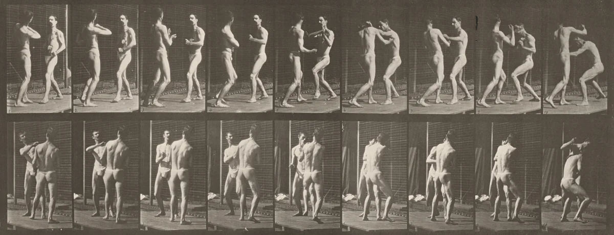 Plate Number 339. Boxing, open hand by Eadweard Muybridge, photograph, 1887