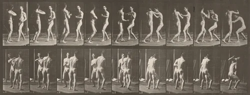 Plate Number 339. Boxing, open hand by Eadweard Muybridge, photograph, 1887