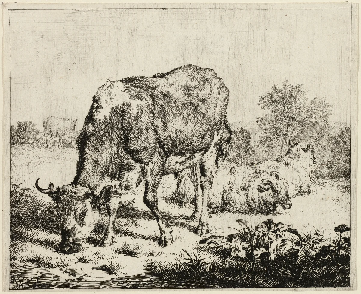 A Cow and Three Sheep by Adriaen van de Velde, print, 1656-1672