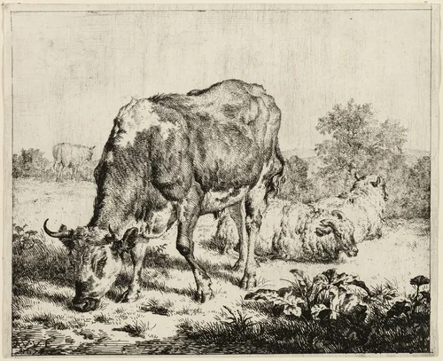 A Cow and Three Sheep by Adriaen van de Velde, print, 1656-1672