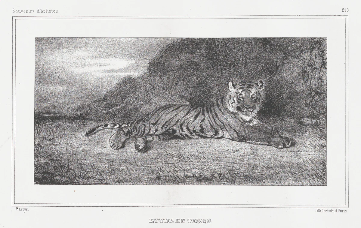 Study of a Tiger by Antoine-Louis Barye, print, 1832