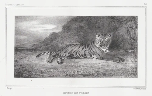 Study of a Tiger by Antoine-Louis Barye, print, 1832