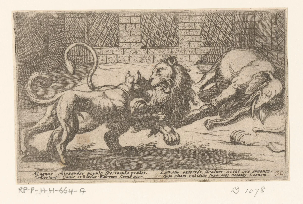 Een hond, een leeuw en een olifant in een kooi by Antonio Tempesta, print, 1605