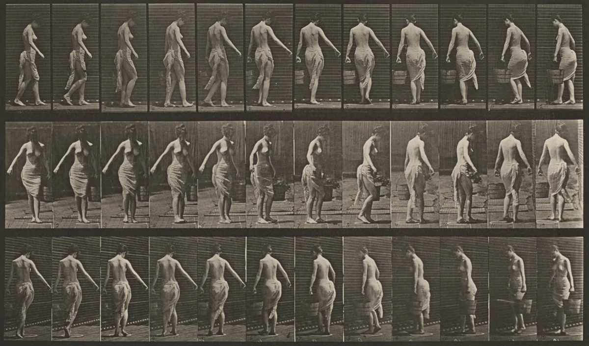Plate Number 50. Walking and turning around, carrying a bucket of water in left hand by Eadweard Muybridge, photograph, 1887