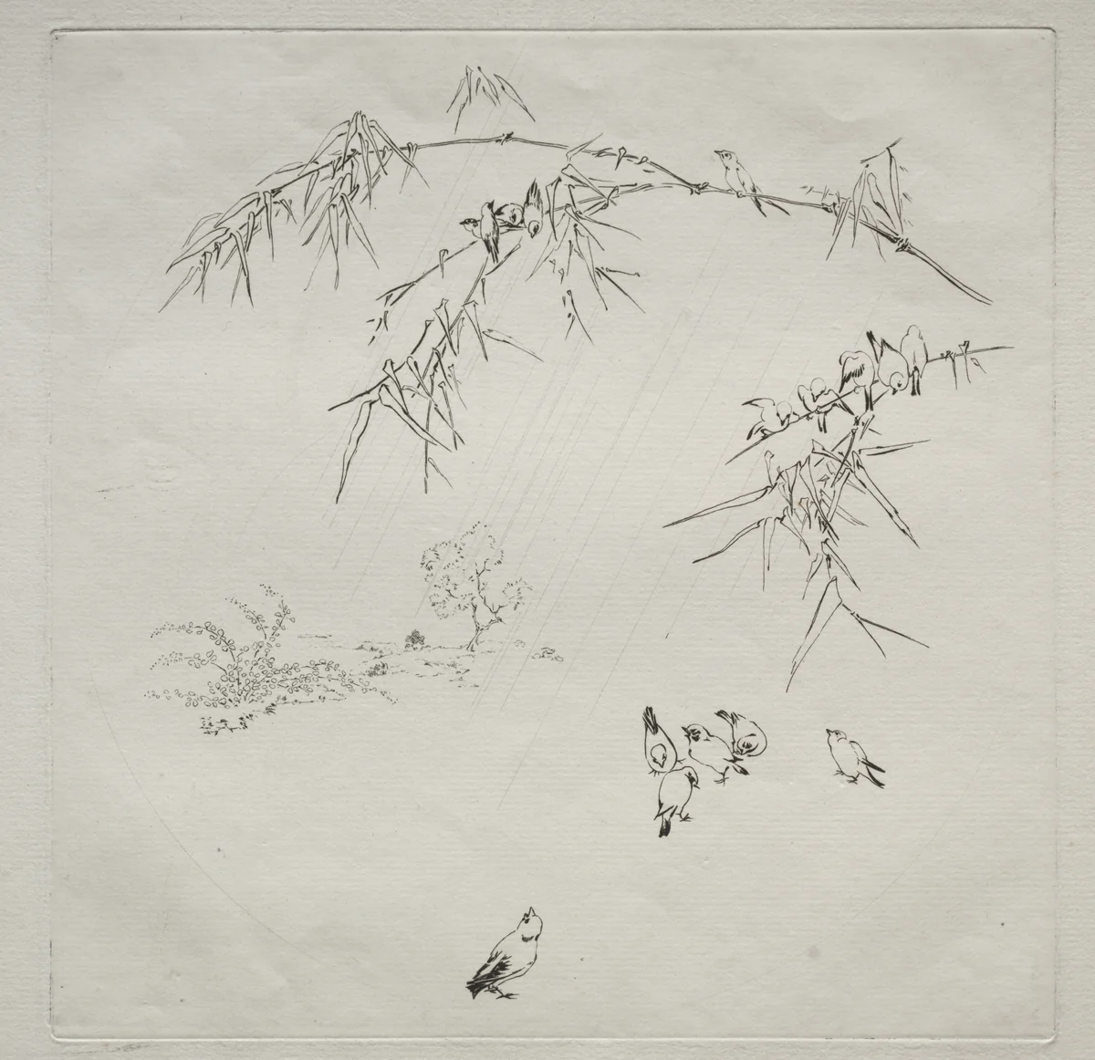 Parisian Service (Haviland service): Rain (no. 10) by Félix Bracquemond, print, 1875