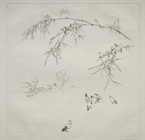 Parisian Service (Haviland service): Rain (no. 10) by Félix Bracquemond, print, 1875