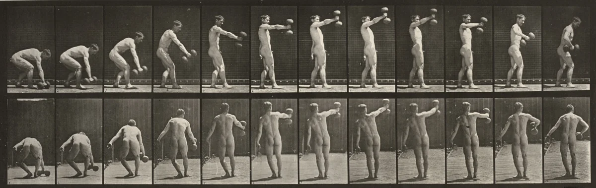 Plate Number 326. Lifting a 50-lb. dumbbell at arm's length by Eadweard Muybridge, photograph, 1887