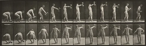 Plate Number 326. Lifting a 50-lb. dumbbell at arm's length by Eadweard Muybridge, photograph, 1887