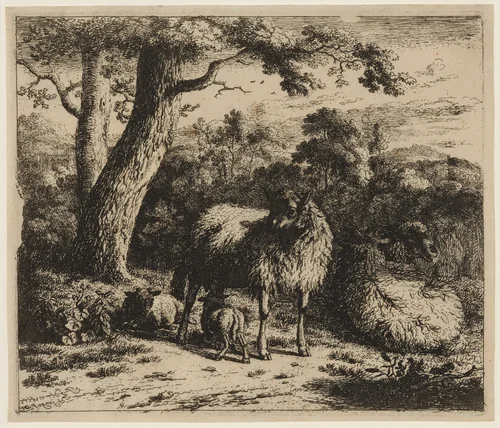 The Standing Sheep with Two Lambkins by Jan van der Meer, print, 1677-1687