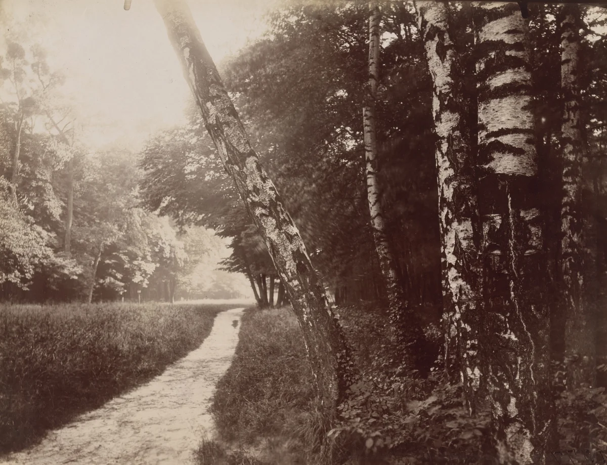 Saint-Cloud by Eugène Atget, photograph, 1926