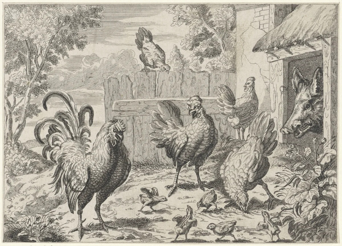 Hanen, kippen, kuikens en een wild zwijn by anonymous, print, 1650-1750
