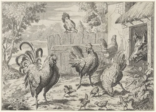 Hanen, kippen, kuikens en een wild zwijn by anonymous, print, 1650-1750