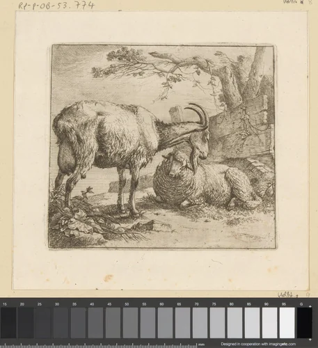 Liggend schaap en staande geit bij een hek by Johann Heinrich Roos, print, 1671