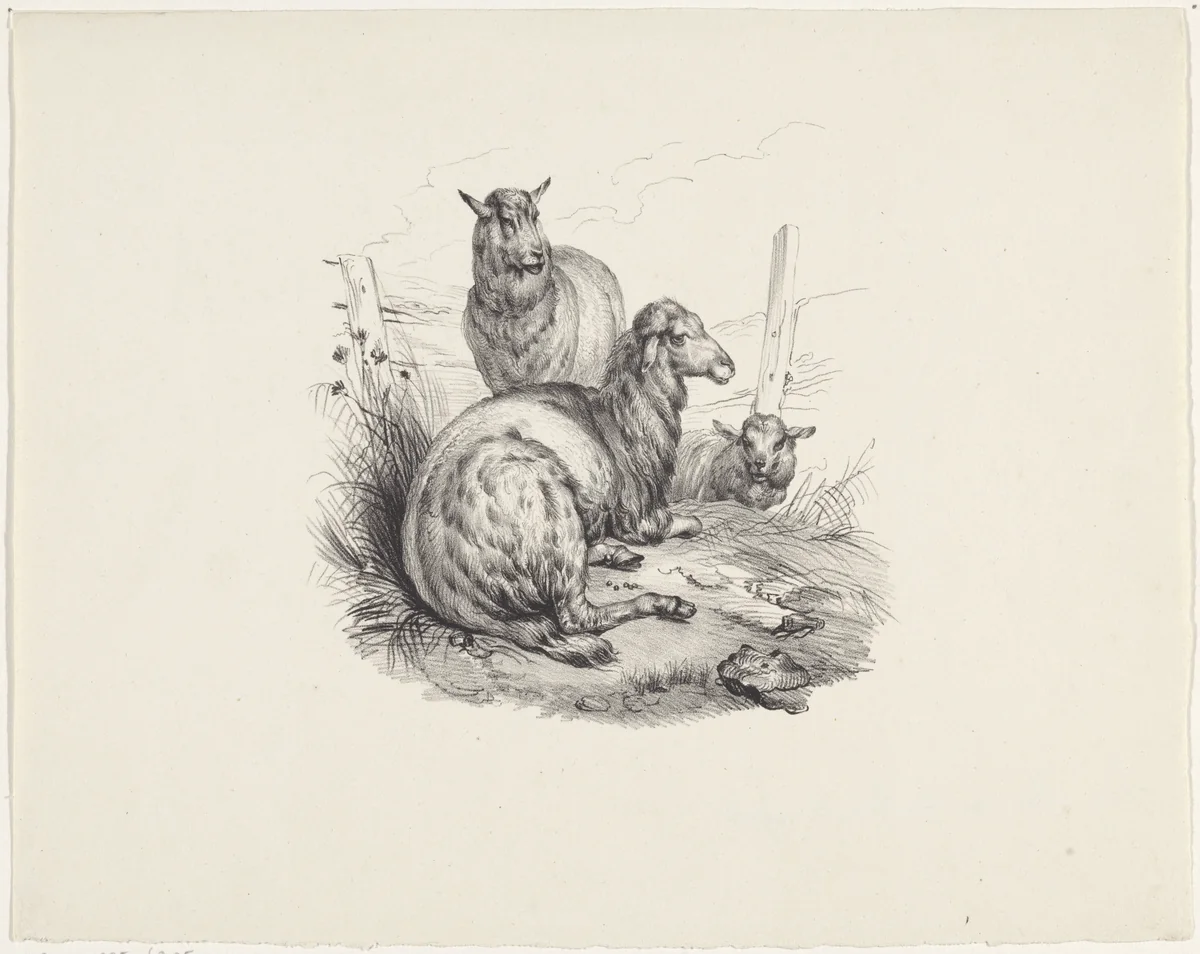 Drie schapen bij een hek by anonymous, print, 1822-1845