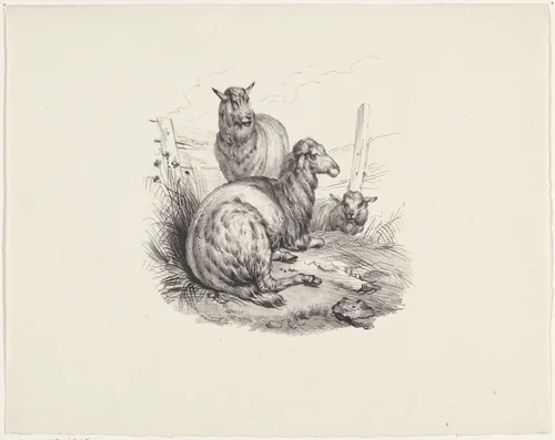 Drie schapen bij een hek by anonymous, print, 1822-1845