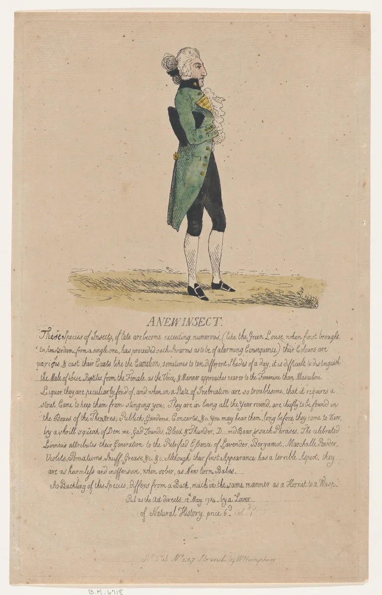 A New Insect by Thomas Rowlandson, print, 1784