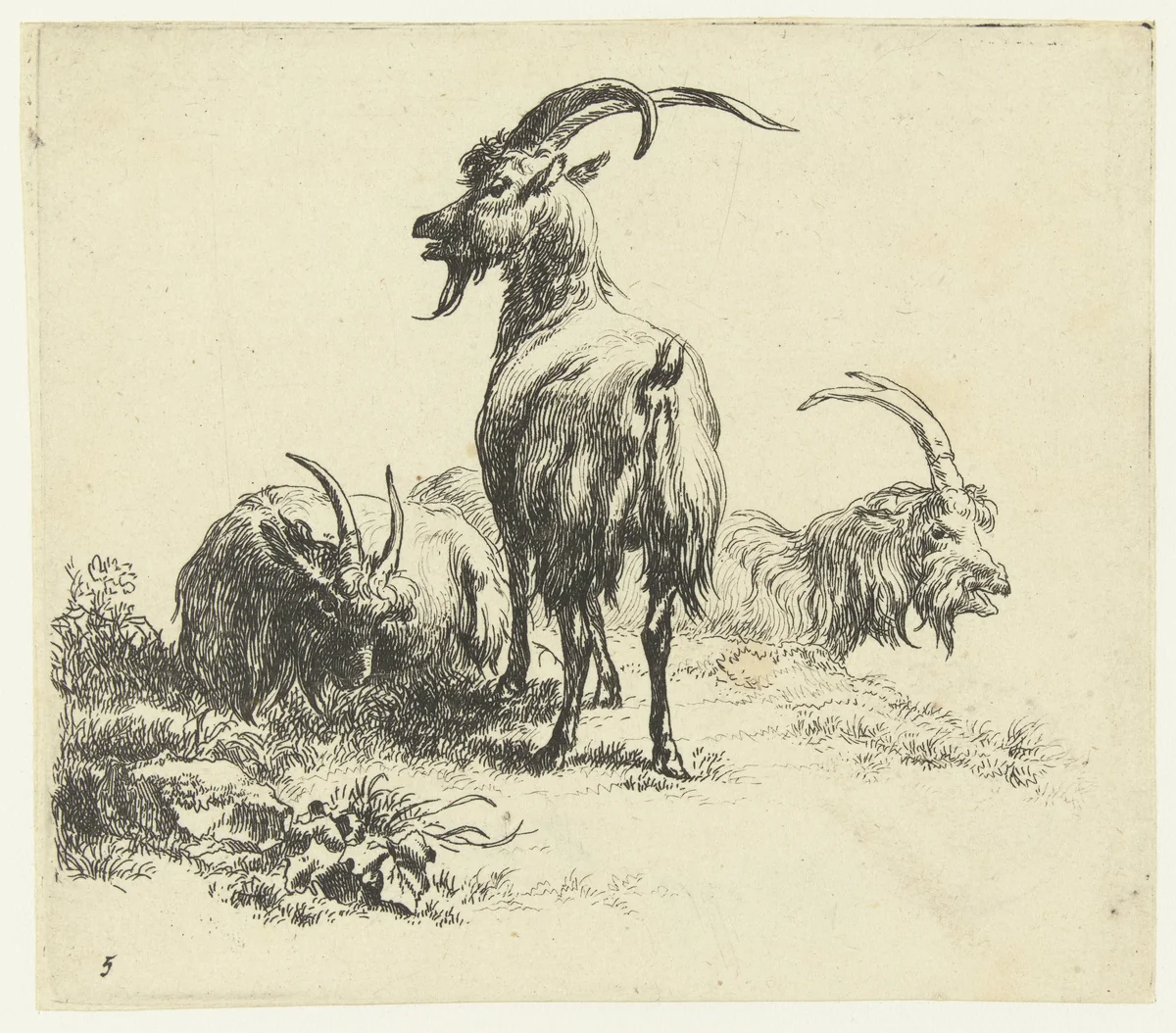 Drie bokken by Nicolaes Pietersz Berchem, print, 1648-1652