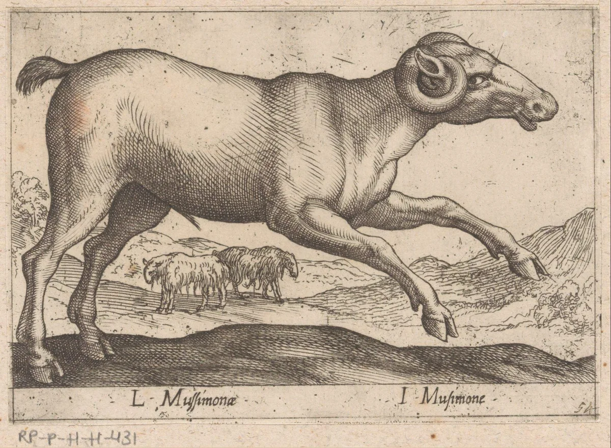 Geitachtige by Antonio Tempesta, print, 1565-1630