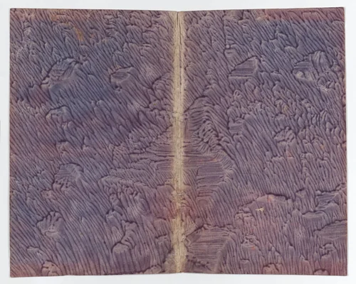 Purple paste paper book cover by anonymous, print, 1800-1900