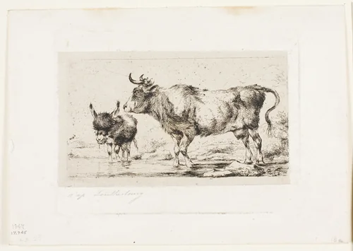 The Cow and Ass by Charles Meryon, print, 1849