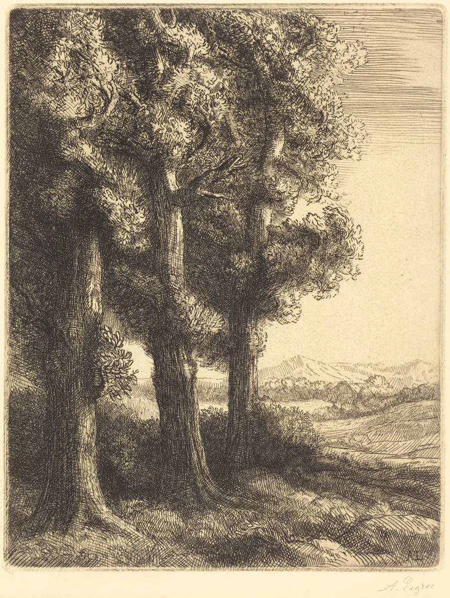 Corner of a Wood (Coin d'un bois) by Alphonse Legros, print, 1877-1887