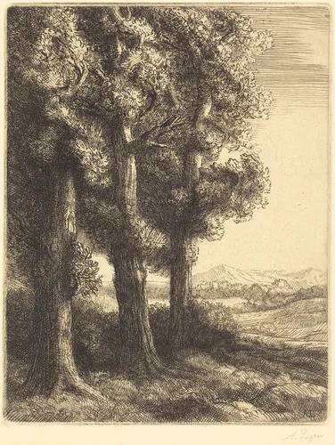 Corner of a Wood (Coin d'un bois) by Alphonse Legros, print, 1877-1887
