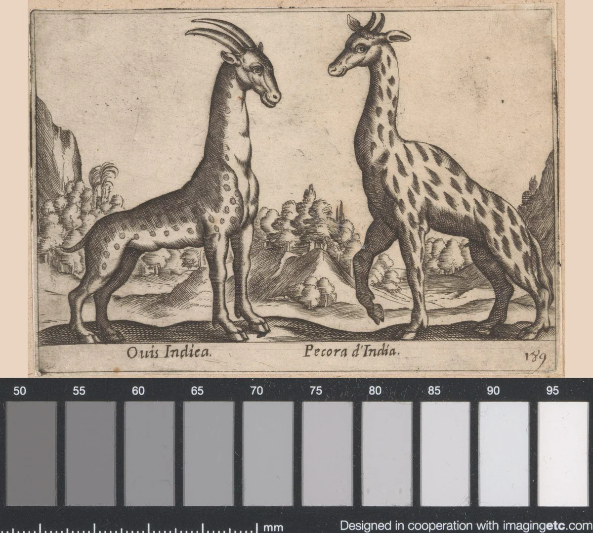 Twee fantasie 'schapen' by Antonio Tempesta, print, 1565-1630